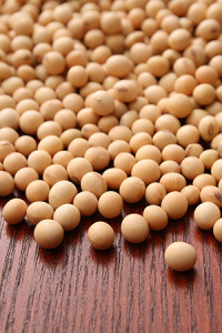 Soybeans on PureBond wood